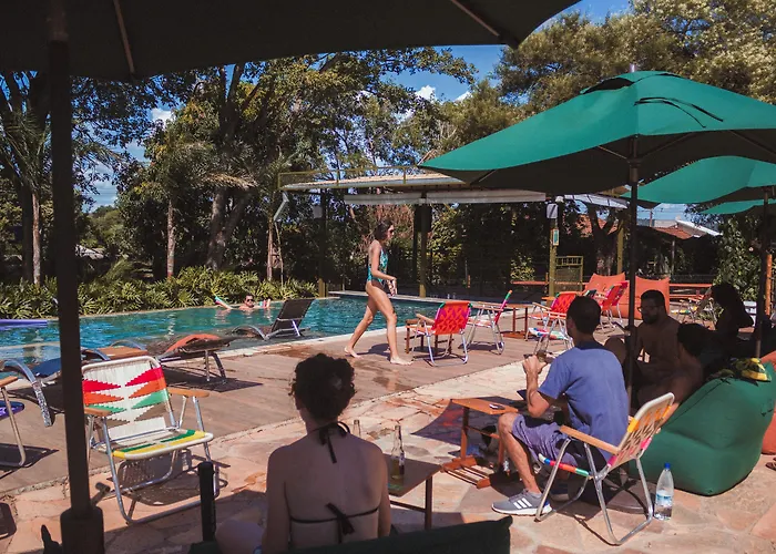 The Garden
