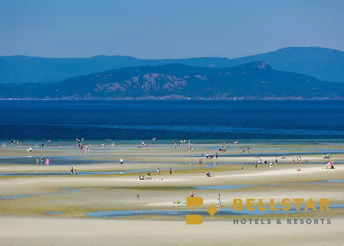 The Beach Club Resort — Bellstar Hotels & Resorts