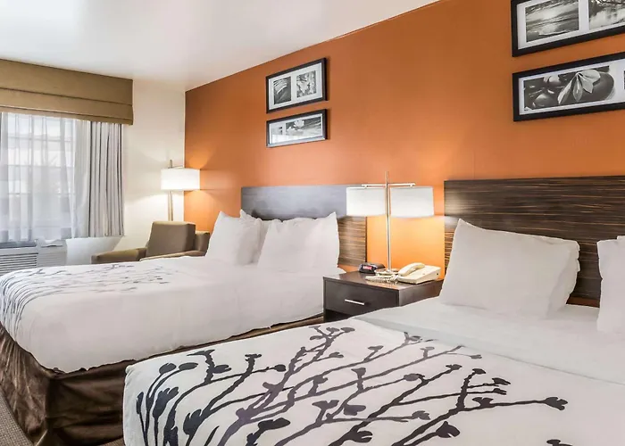 Sleep Inn & Suites North Liberty - Liberty City