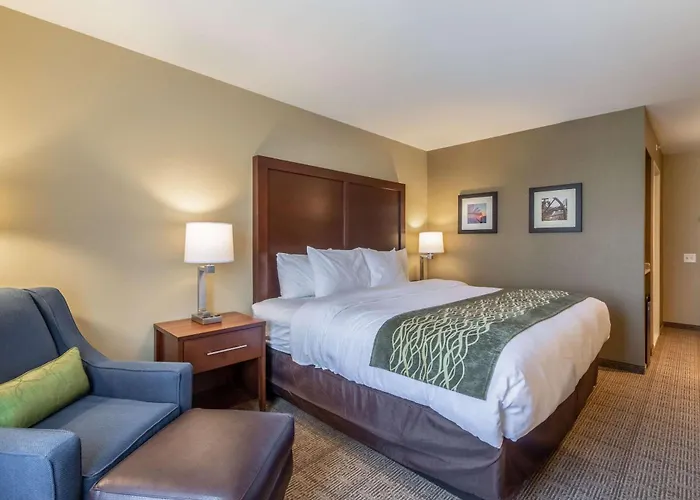 Comfort Inn & Suites - Harrisburg Airport - Hershey South