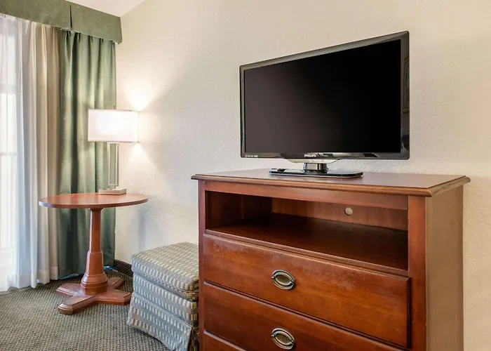 Quality Inn & Suites Tarpon Springs South