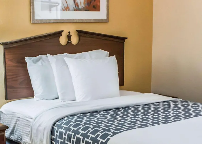 Econo Lodge Battleboro - Rocky Mount I-95