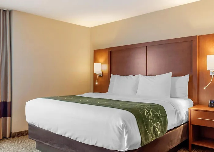 Comfort Inn & Suites Schenectady - Scotia