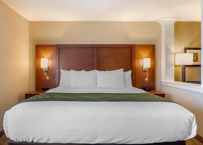 Comfort Inn & Suites Schenectady - Scotia