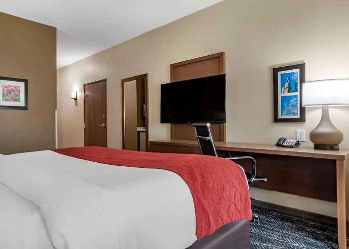 Comfort Inn & Suites Downtown Near University