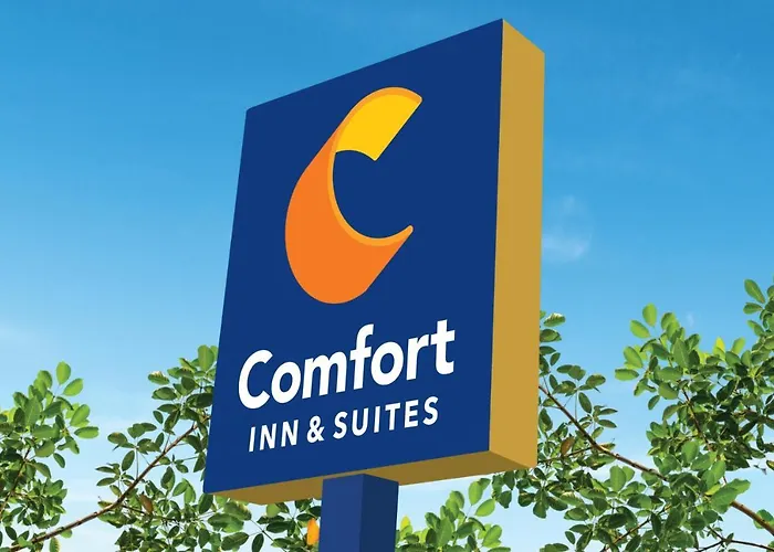 Comfort Inn & Suites Charlottesville Hollymead Town Center