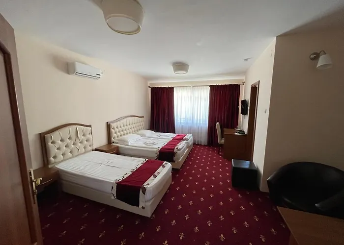 Hostel Paltinis
