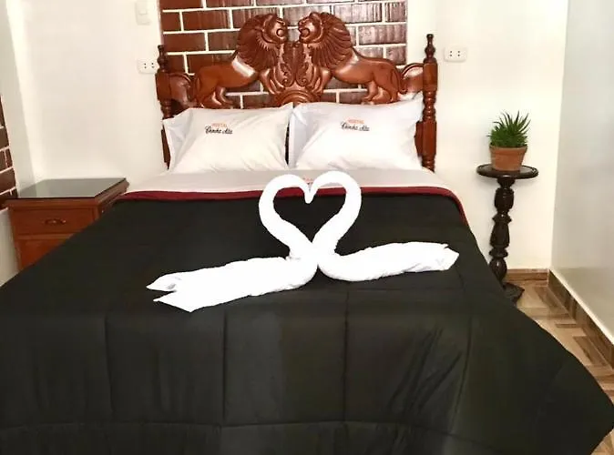 Hostal Chincha Alta