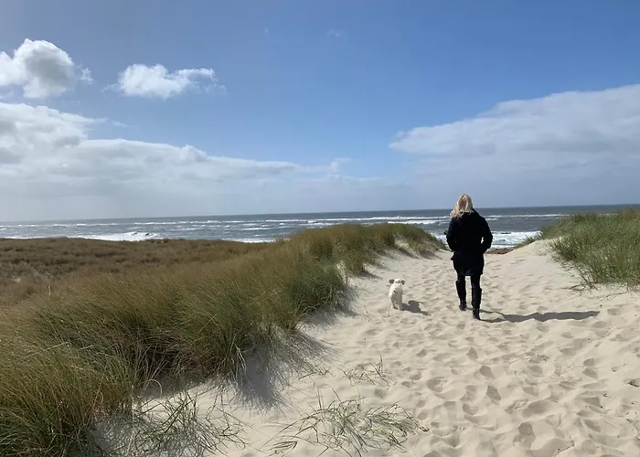 Boetje 51