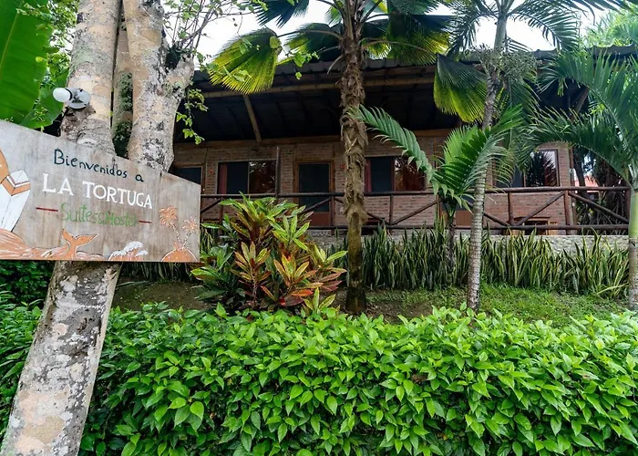 Suites La Tortuga