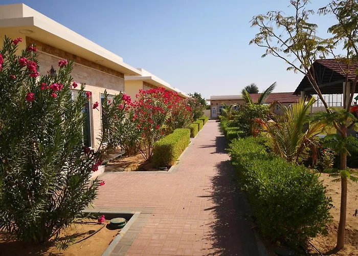 Almorouj Farm Inn - Bidiya
