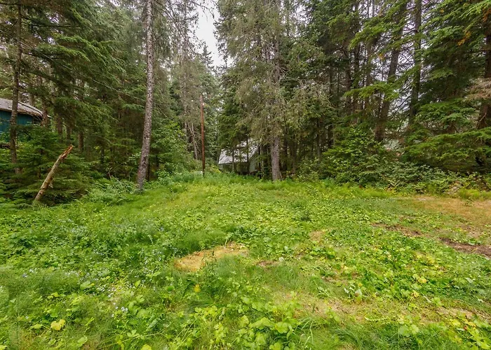 Alohalaska Studio