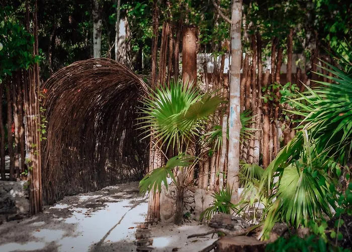 Lunita Jungle Hotel