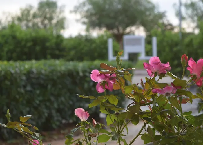 Agri-Resort Luxury Farm