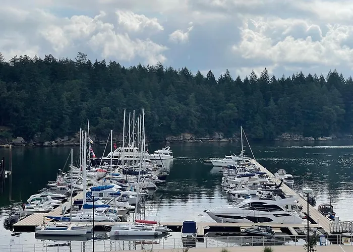 The Waterfront Suites And Marina