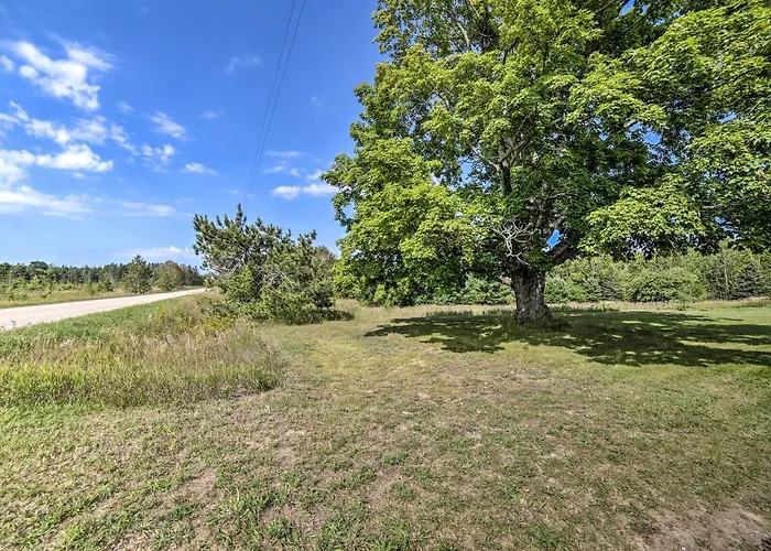 Pet-Friendly & Peaceful Northern Michigan Gem