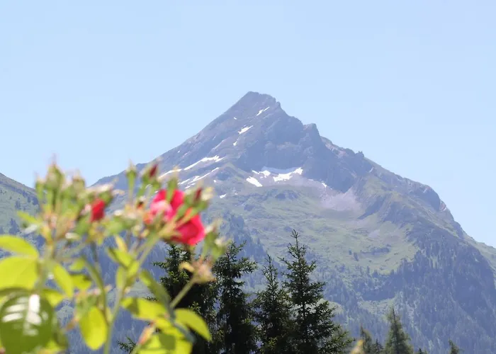 Gaestehaus Elfriede