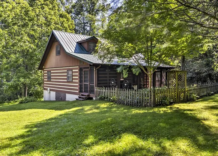 Black Mountain Cabin W/ Screened Porch + Views!