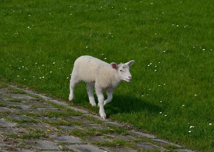 Ferienhaus Coyle, FeWo Vermittlung Nordsee