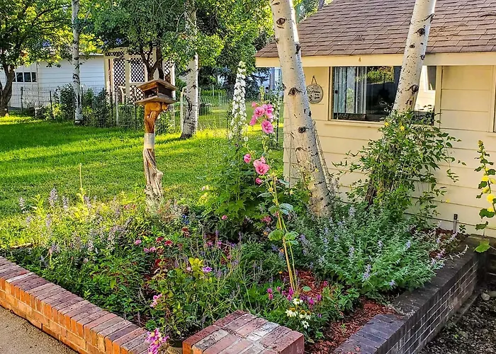 Charming Buena Vista Creekside Home: Walk To Main!