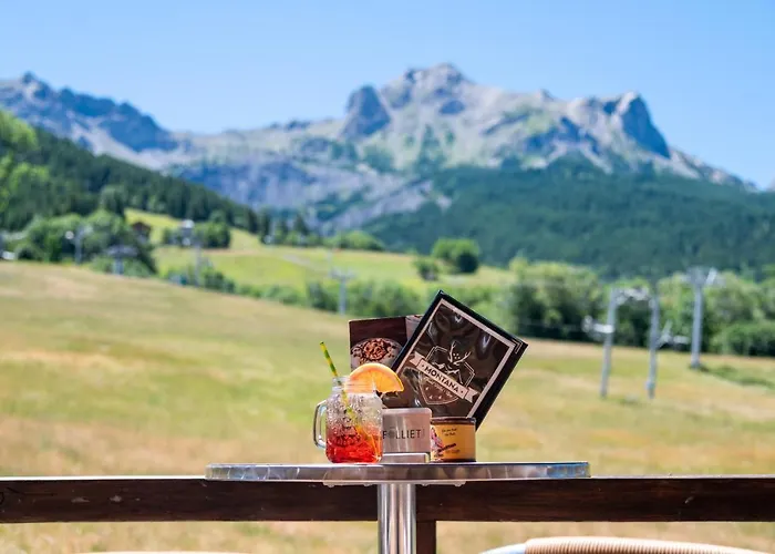 Montana Chalet Hôtel&Spa