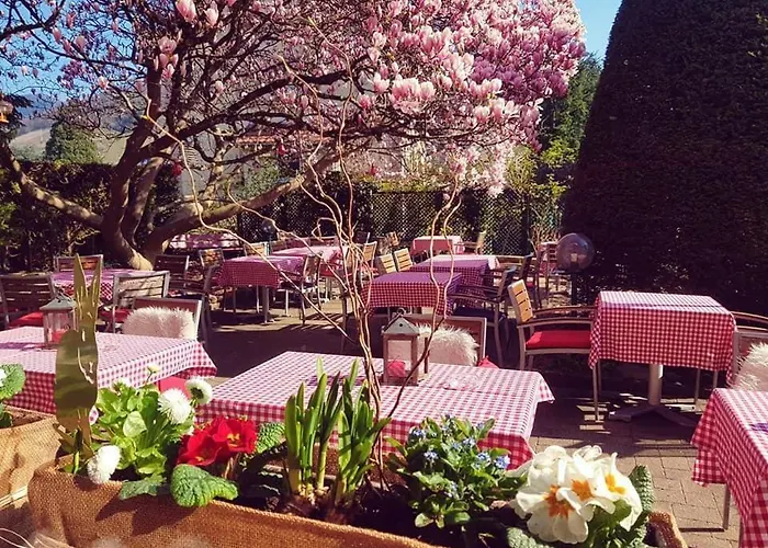 Hotel Restaurant Aux Sapins