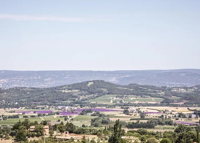 Le Clos Du Buis