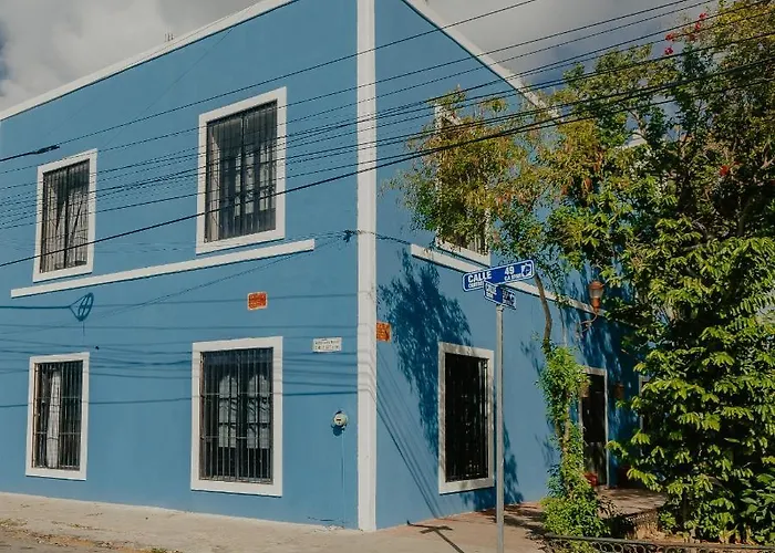 Nido Colibrí - Private Rooms&hostel Dorms in Remate de Paseo Montejo