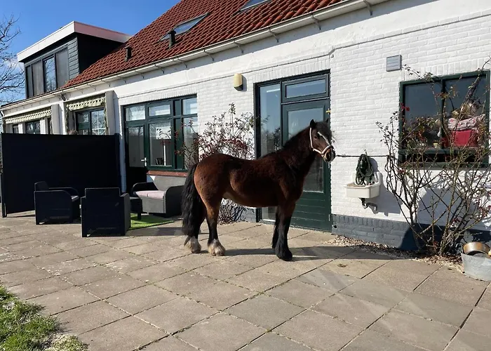 Het Tinkerparadijs, paarden, rust en ruimte.