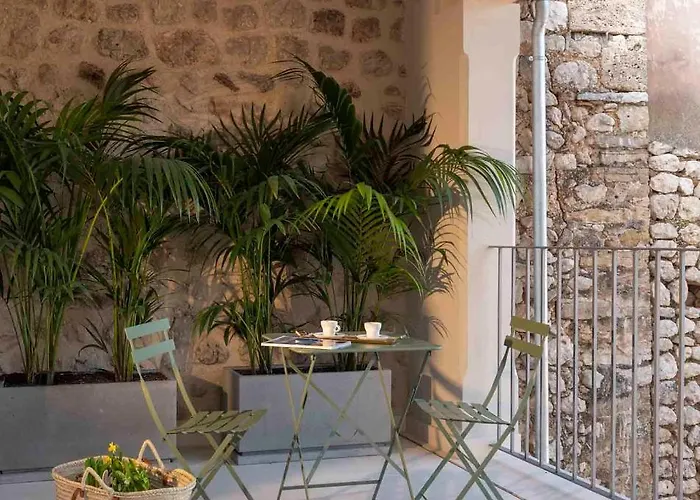 Can Veri Suites