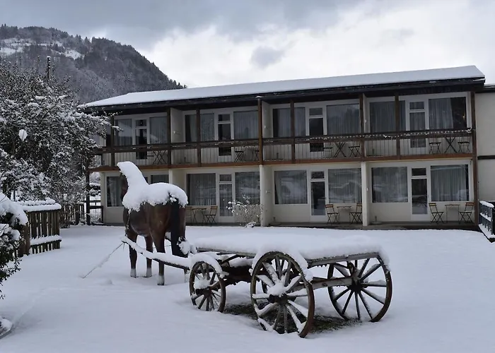 Jungfrau Hotel Annex Alpine-Inn