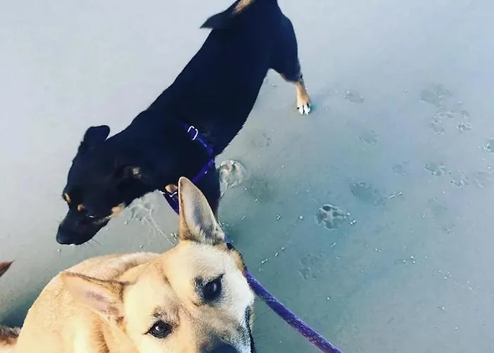 Vitamin Sea