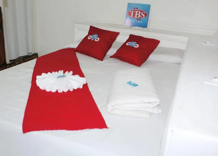 Oyo Tbs Hotel