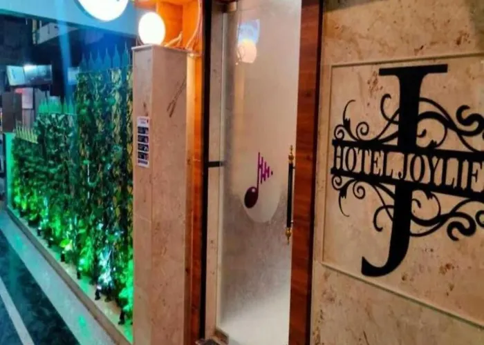 Hotel Joylife- Chotu Ram Chowk Rohtak Haryana