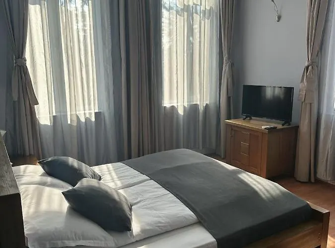 Vidin Hotel