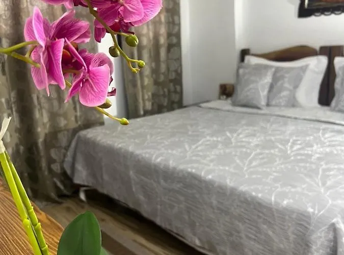 Hotel Omer