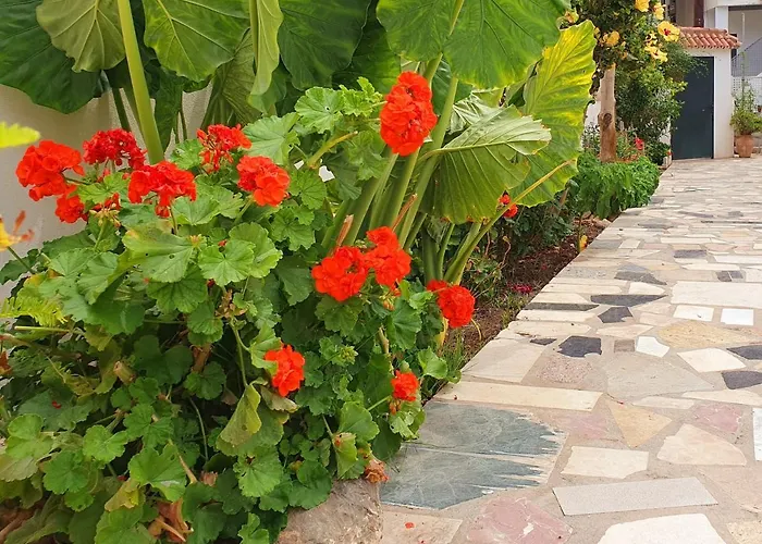 Las Casitas