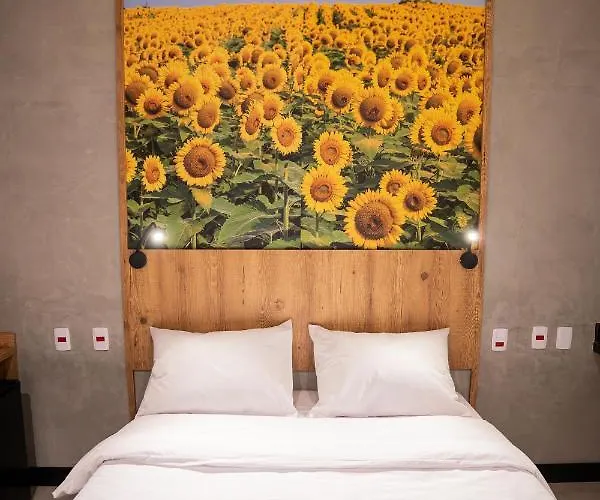 Campos De Holambra Inn