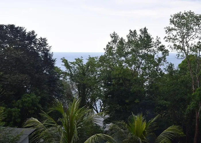 Vista Alta Ecolodge Bahia Drake