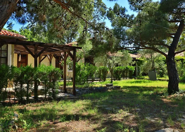 Eski Yeni Tatil Evi Olympos