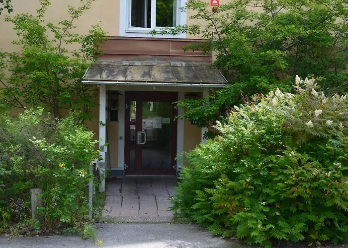 Varsta Logi