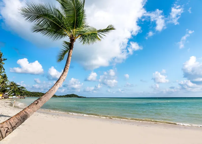 Beyond Samui