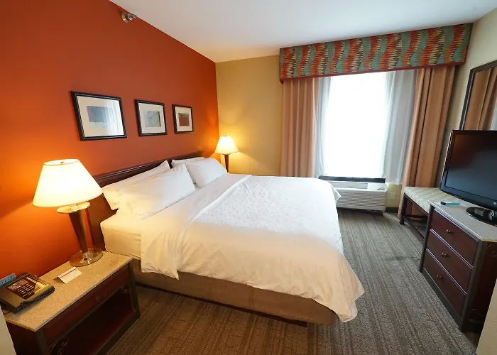 Holiday Inn Express Hotel & Suites Tampa-Oldsmar By Ihg