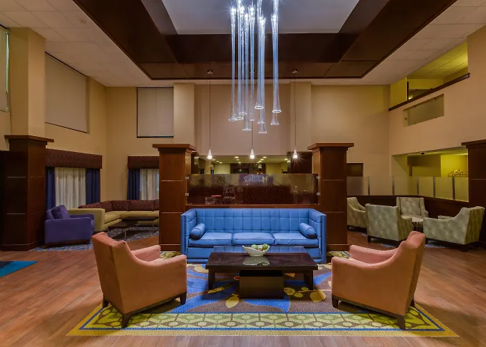Holiday Inn Express Hotel & Suites Tampa-Oldsmar By Ihg