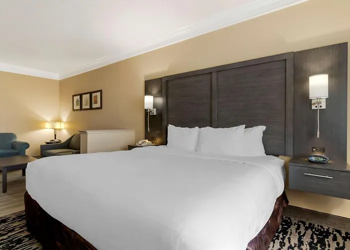 Comfort Suites Kingwood, Humble, New Caney, Houston Iah Airport