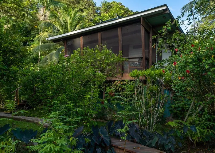 Roam Yoga & Wellness Lodge