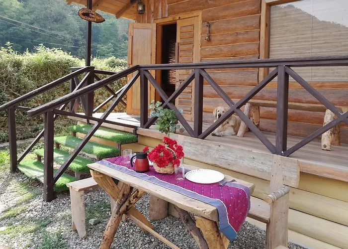 Whistling Thrush Chalet