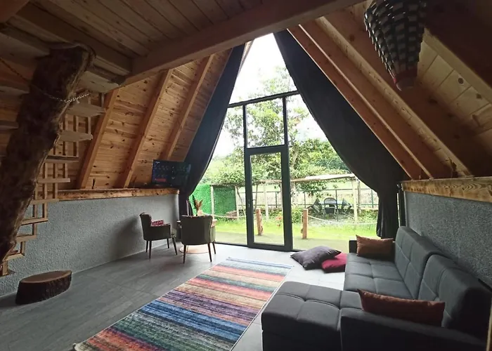 My World Bungalov