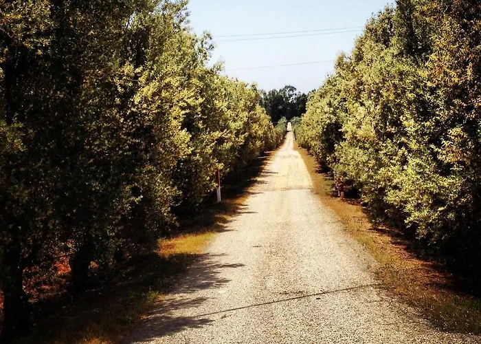 Masseria Perronello Country House