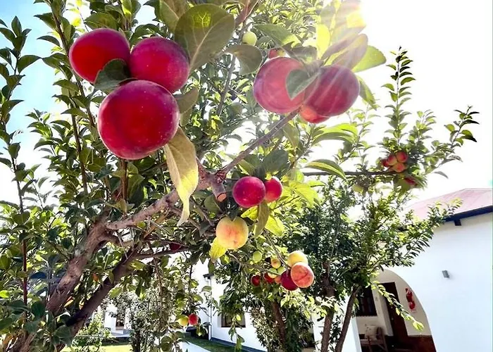 Bella Tilcara Boutique Hotel